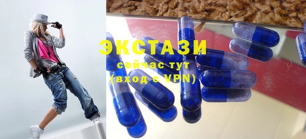 ECSTASY Ельня