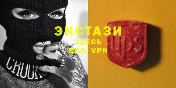 ECSTASY Ельня