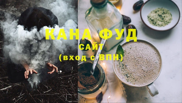 ECSTASY Ельня