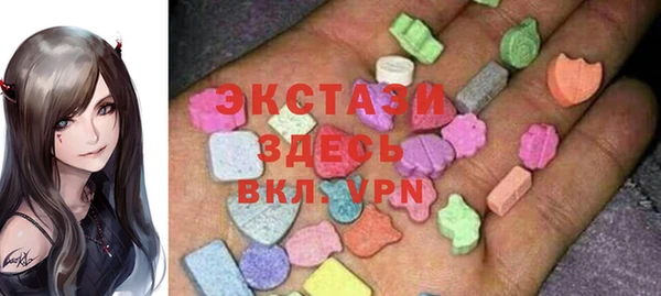 ECSTASY Ельня