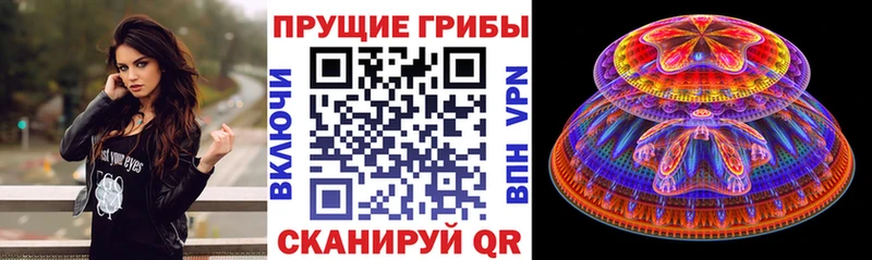 гидра рабочий сайт  Ангарск  Галлюциногенные грибы Psilocybine cubensis  магазин продажи  