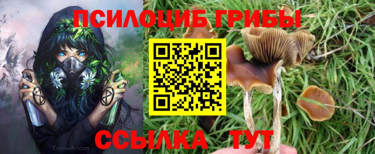 Псилоцибиновые грибы GOLDEN TEACHER  цены наркотик  Ангарск  Вход с VPN 