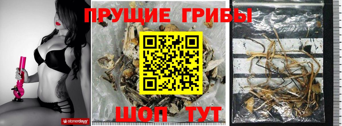 Галлюциногенные грибы прущие грибы Ангарск